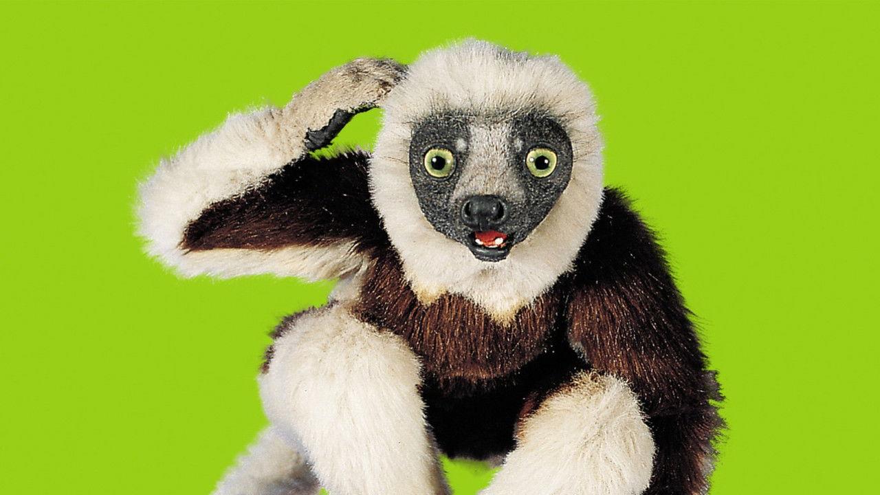 Zoboomafoo backdrop