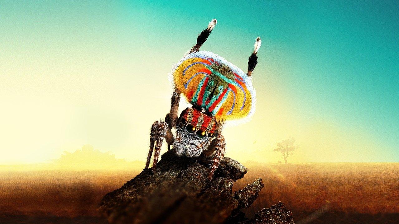 Magical Land of Oz backdrop