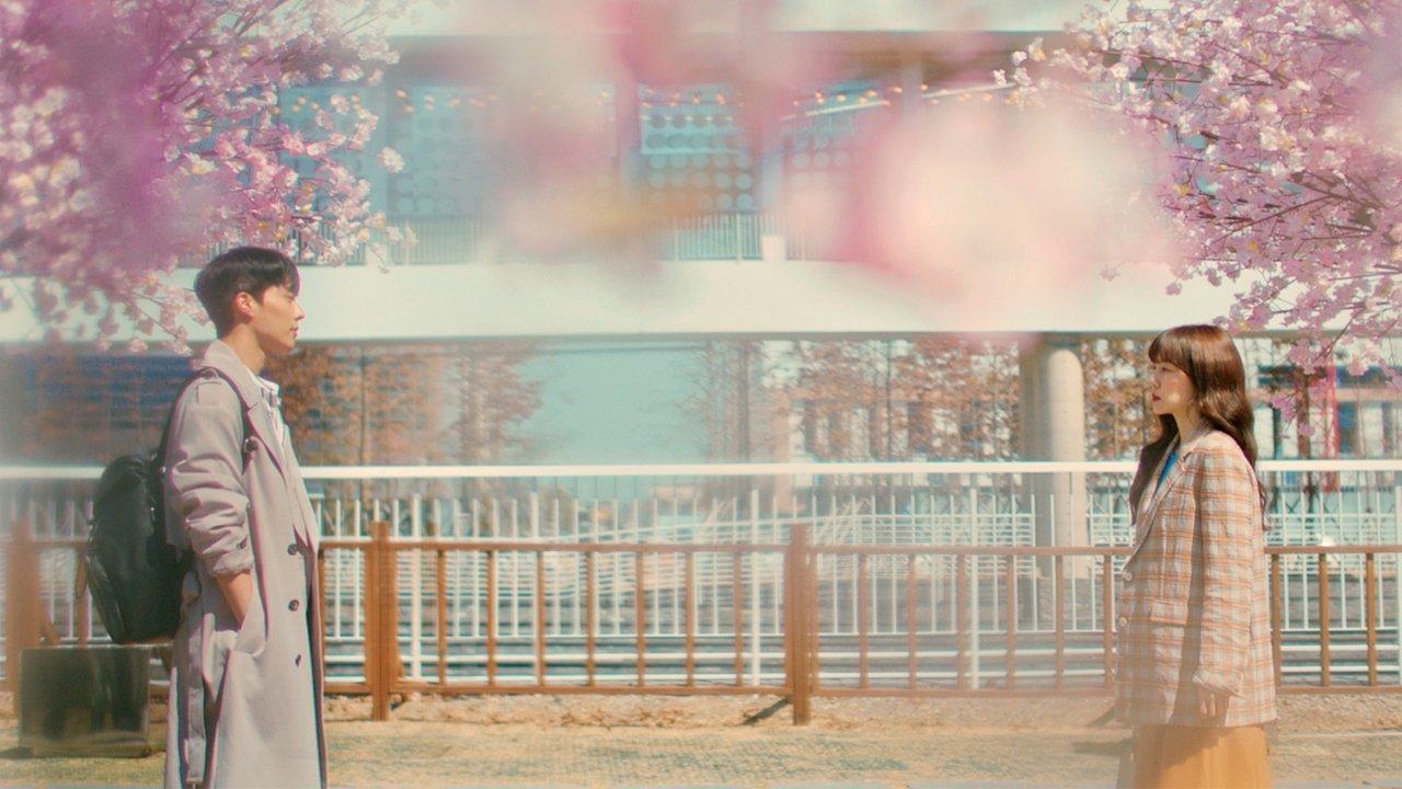 Search: WWW backdrop