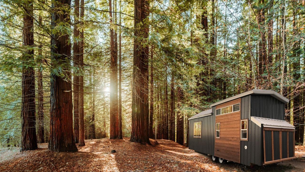 Tiny House, Big Living backdrop