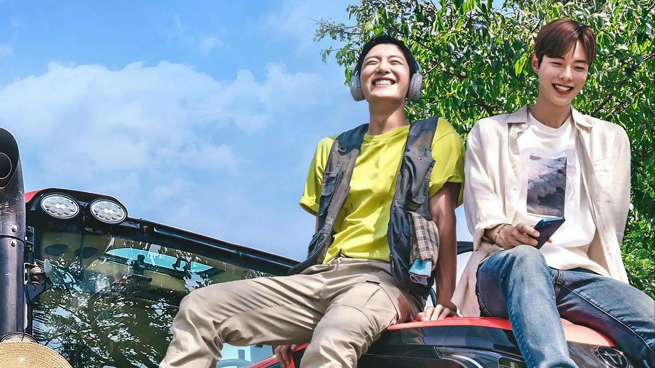 Love Tractor backdrop