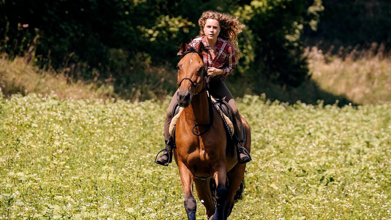 Reiterhof Wildenstein backdrop