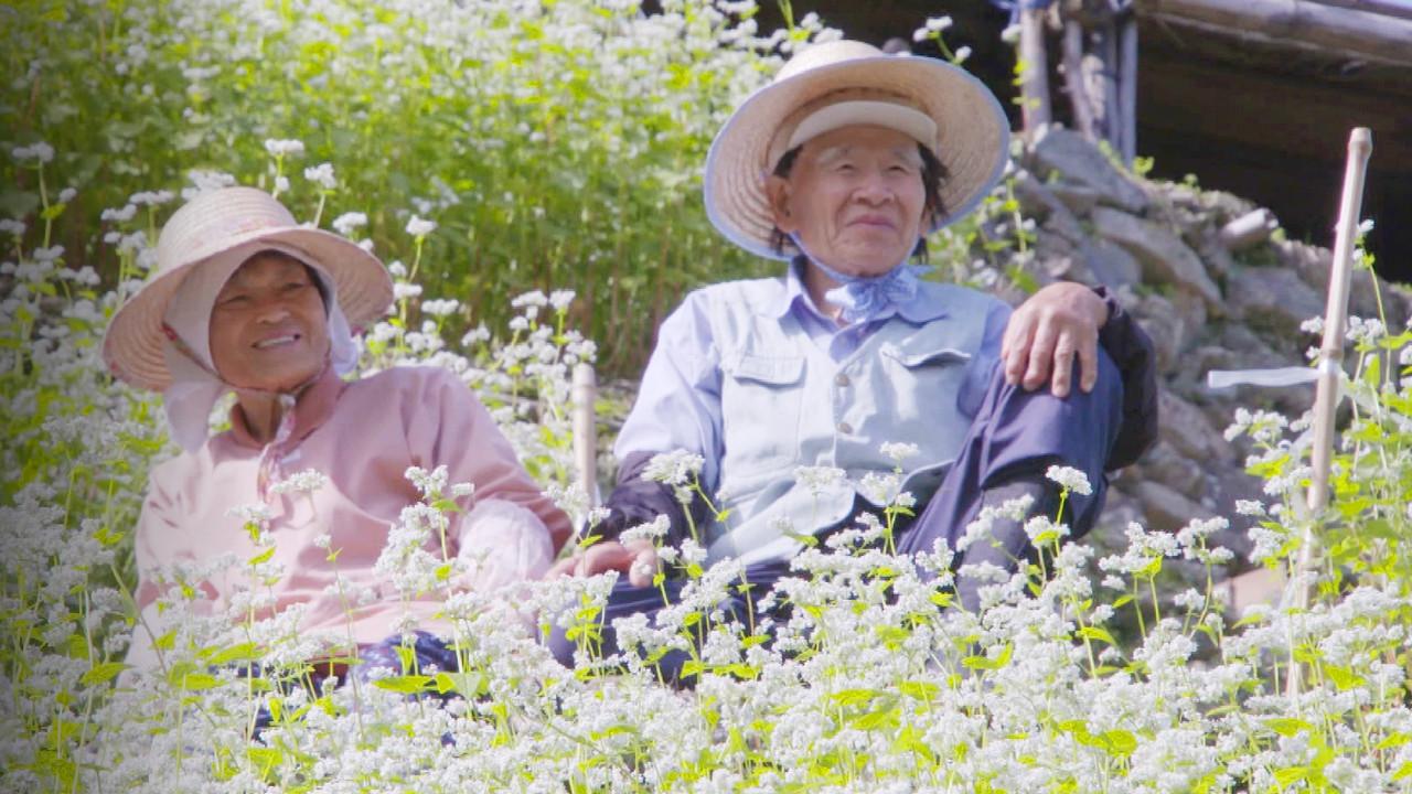 Hometown Stories backdrop