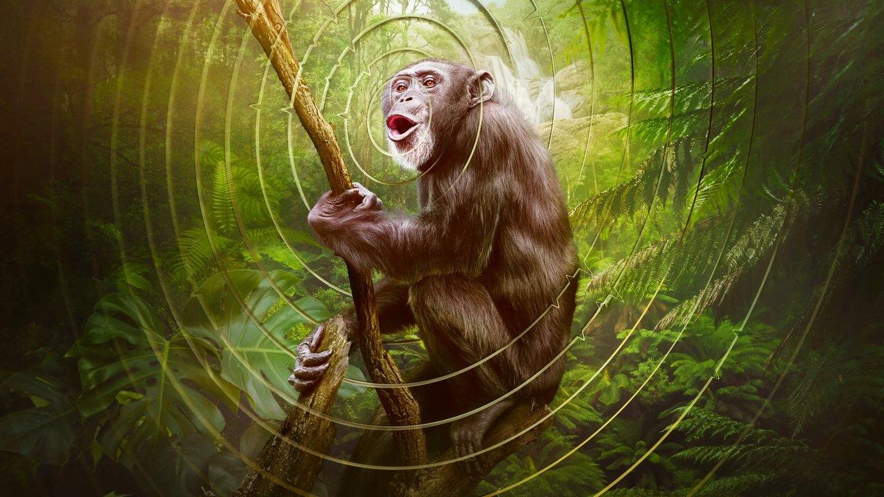 Earthsounds backdrop