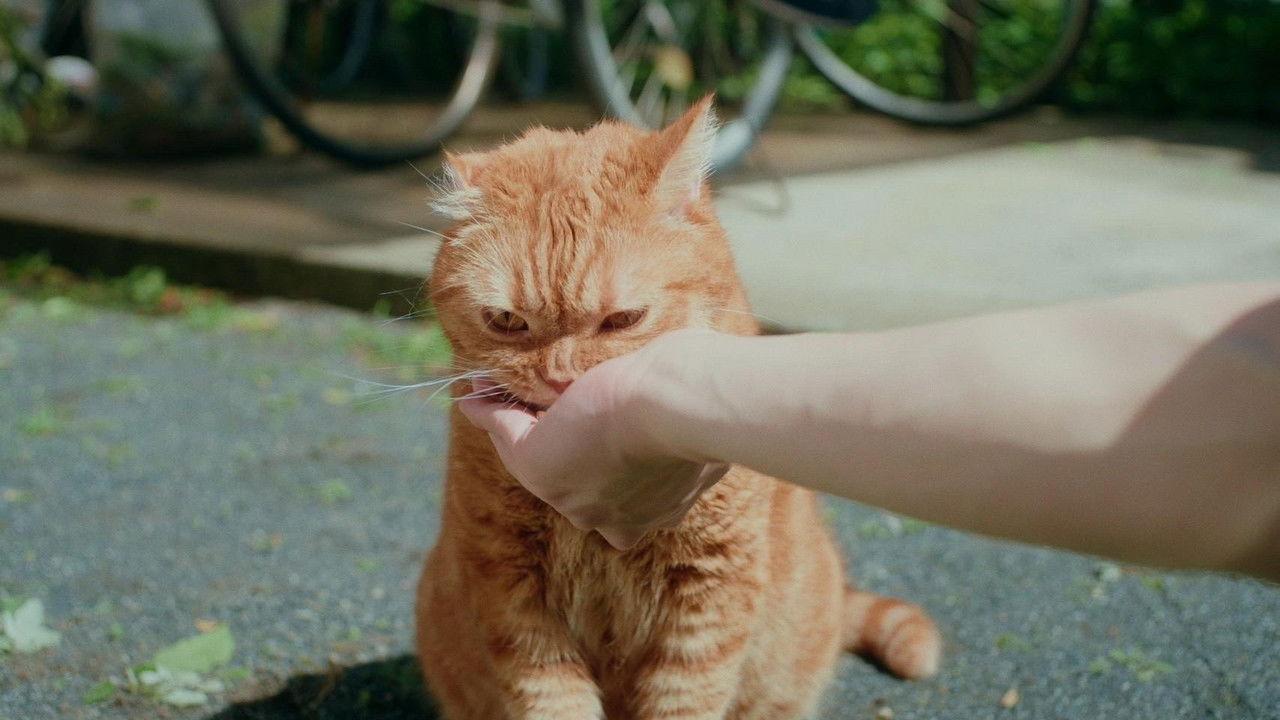 Some Love Begins with Mistaken Identity backdrop