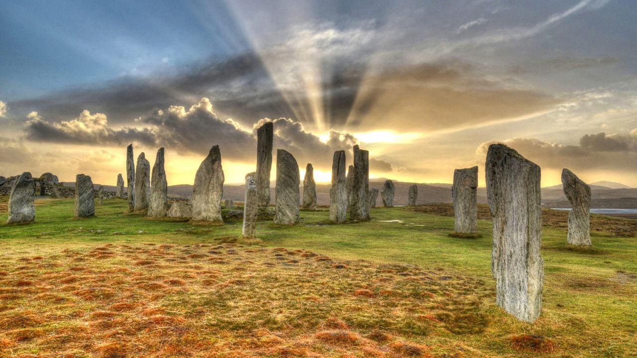 Midsummer Live backdrop