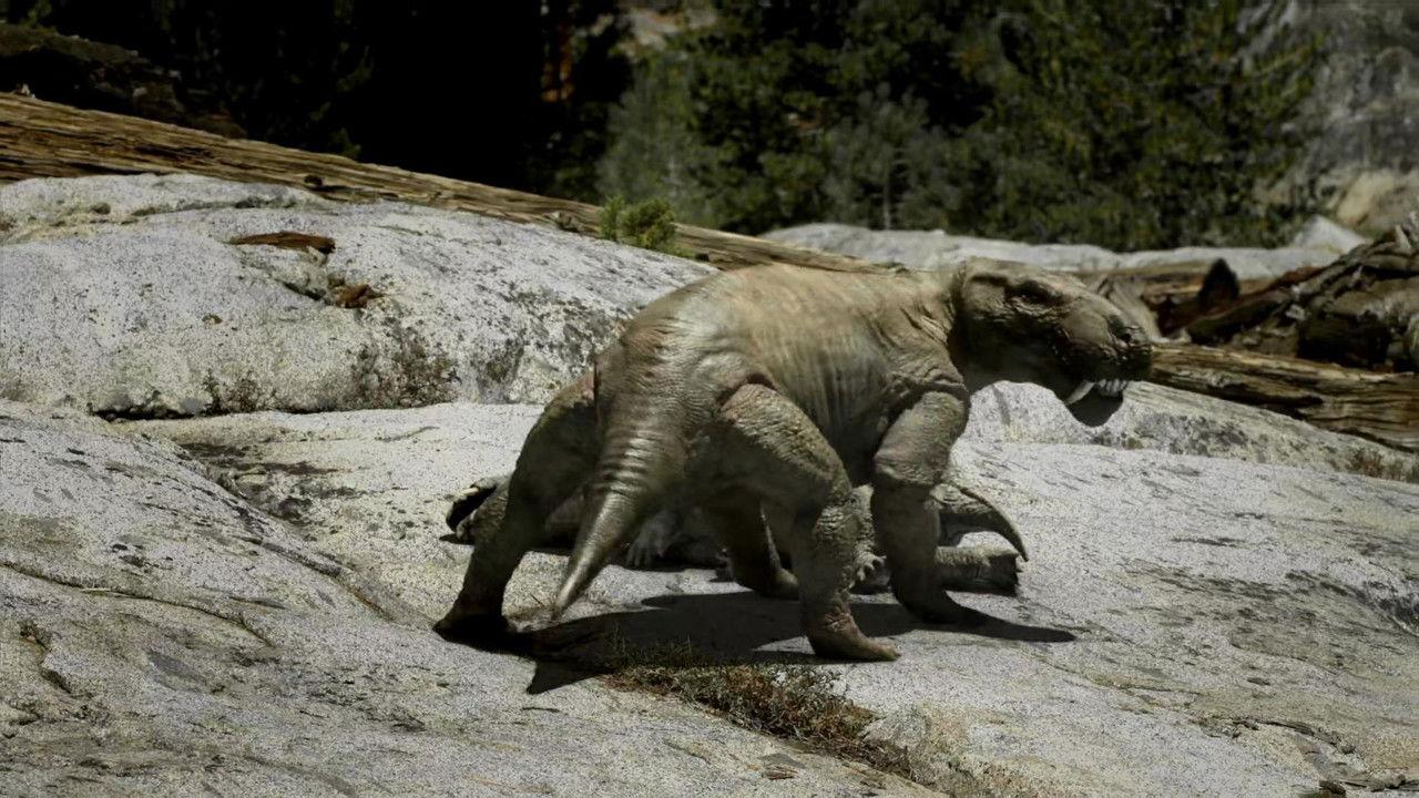 Leaps In Evolution backdrop