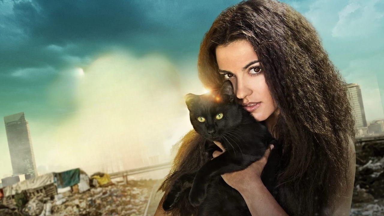 The Stray Cat backdrop