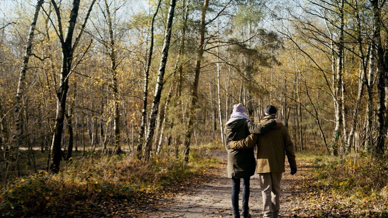Waarom Wachten backdrop