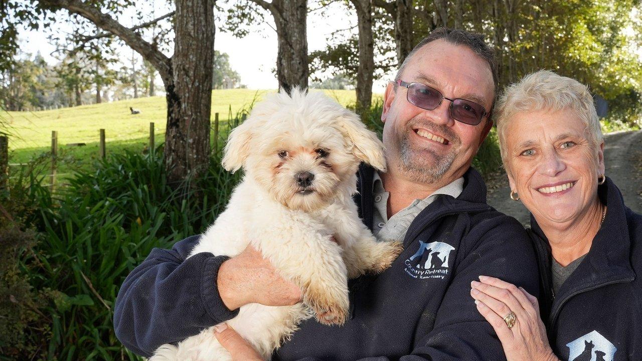 The Dog House NZ backdrop