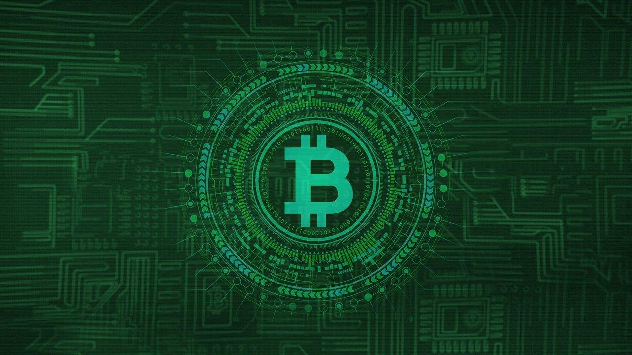 Cryptokoorts backdrop