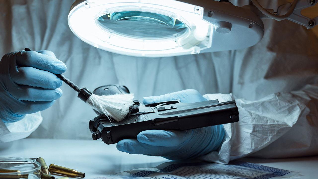 Section scientifique backdrop