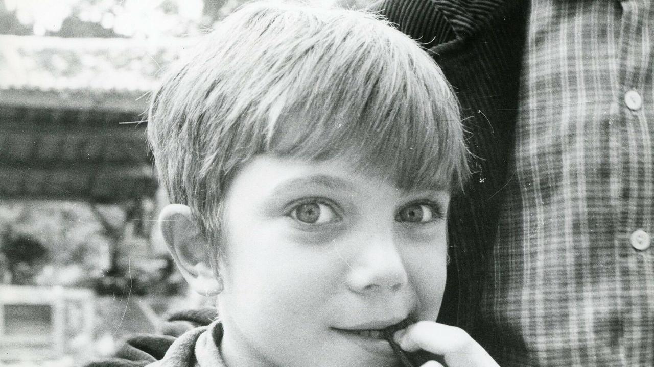 Graine d'Ortie backdrop