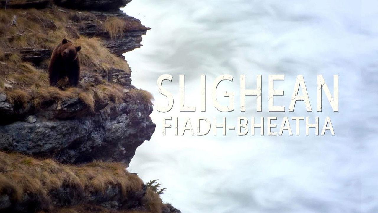 Wild Corridors backdrop