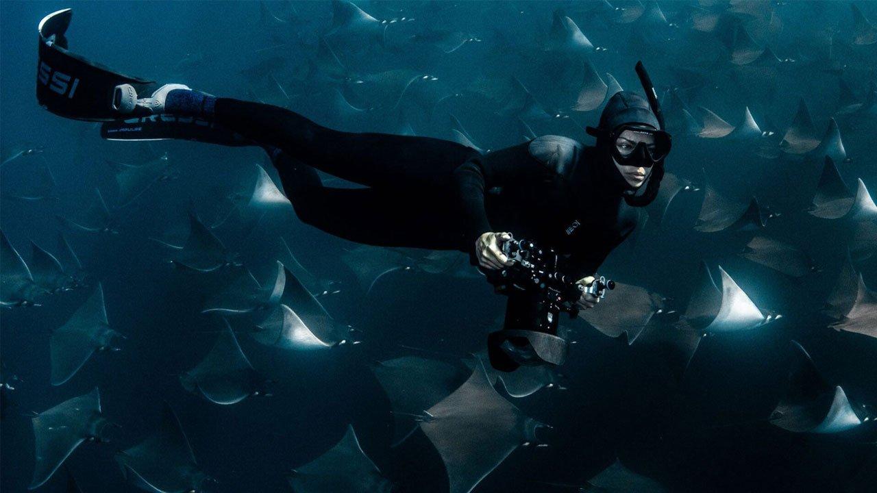 Deep Dive North America backdrop