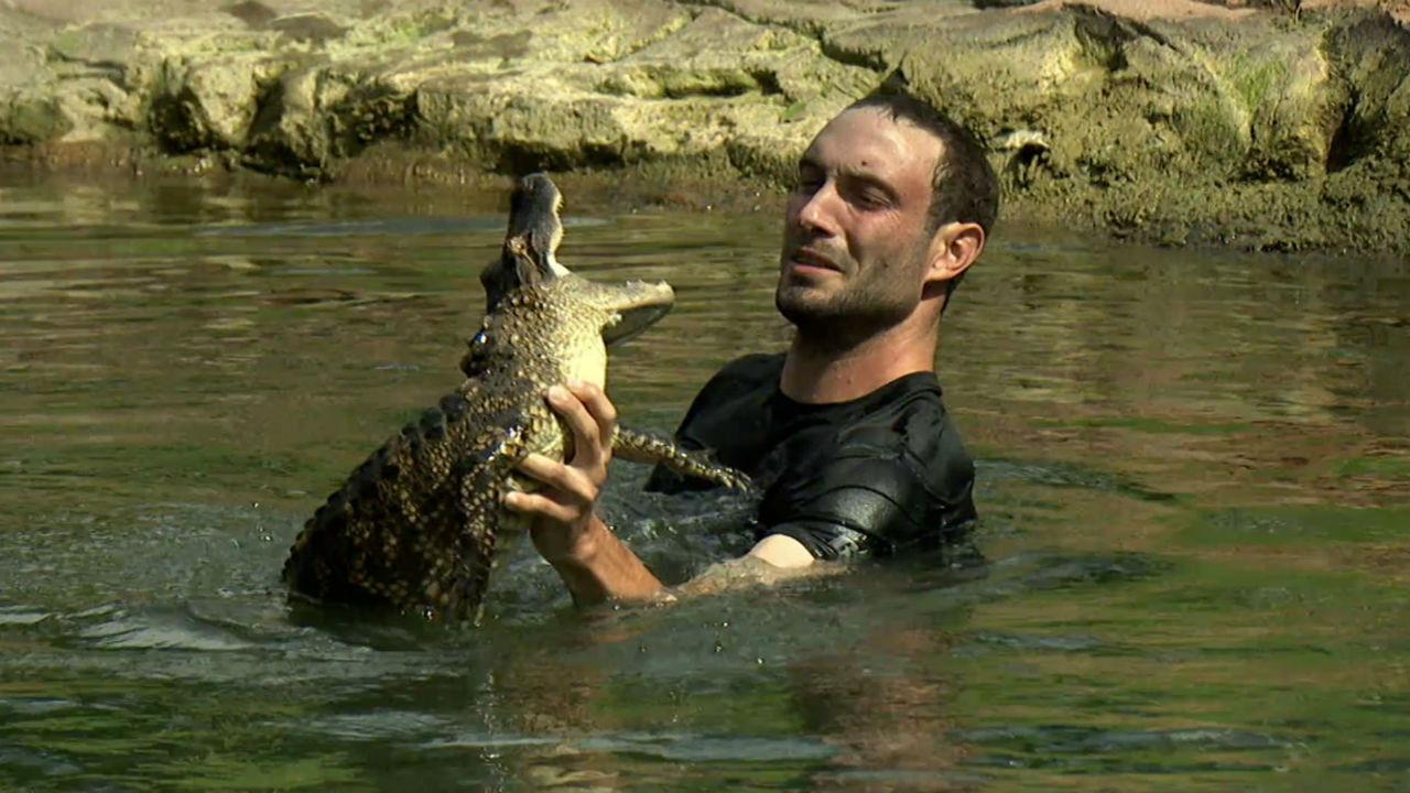 Wild Transport backdrop