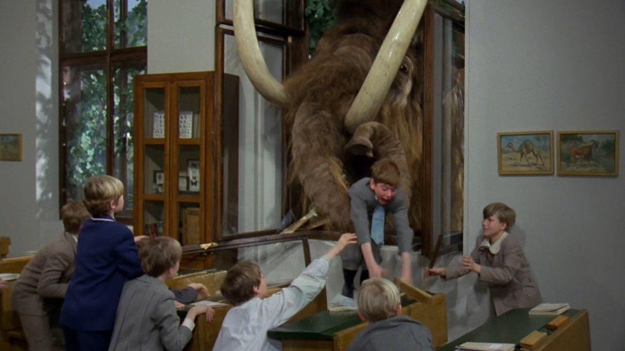 Křeček v noční košili backdrop