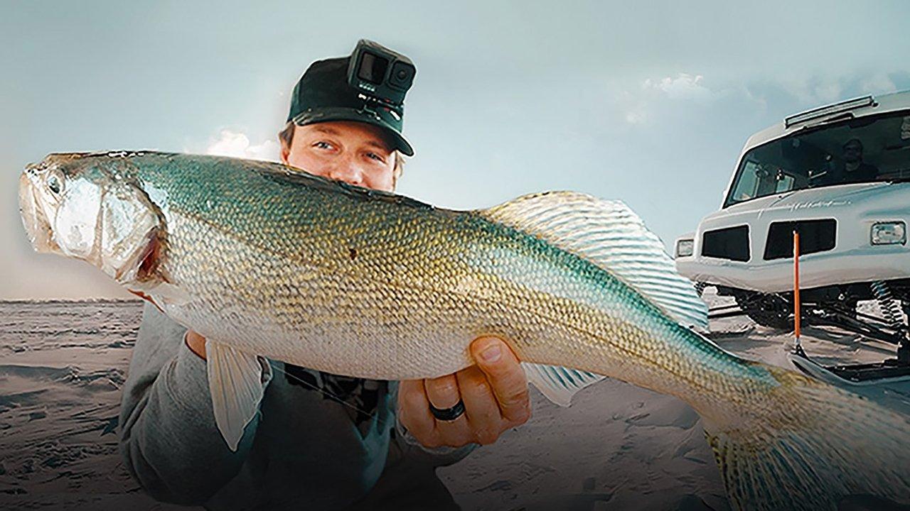 The Canadian Angle backdrop