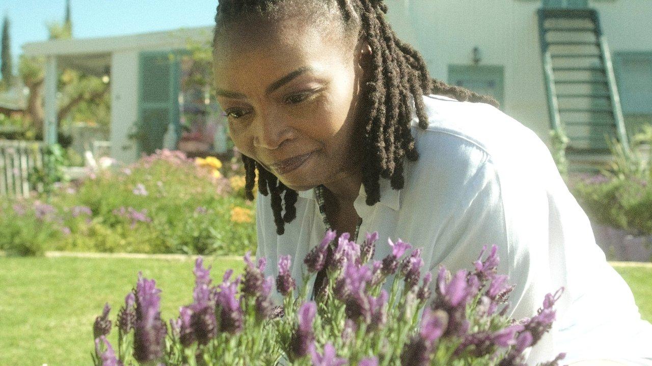 The Kingdom backdrop