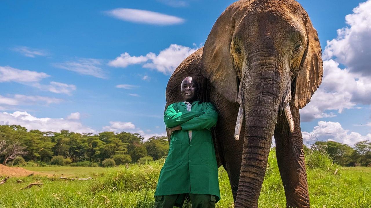 My Best Friend's An Animal backdrop