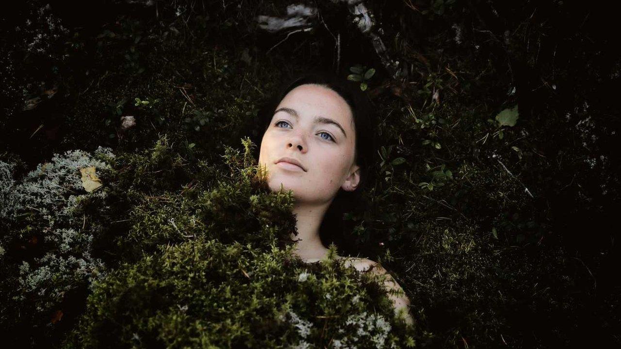 The Last Summer backdrop