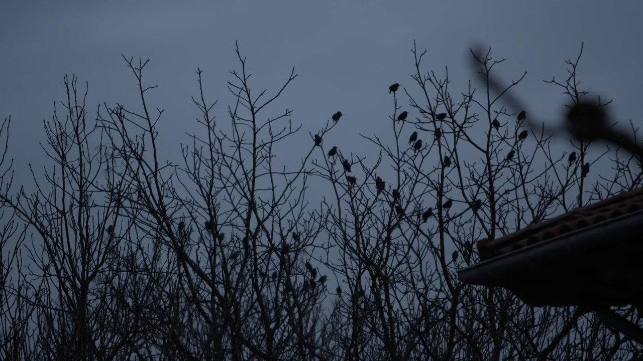 De lo urbano y lo rural backdrop