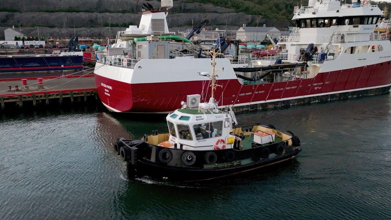 East Harbour Heroes backdrop