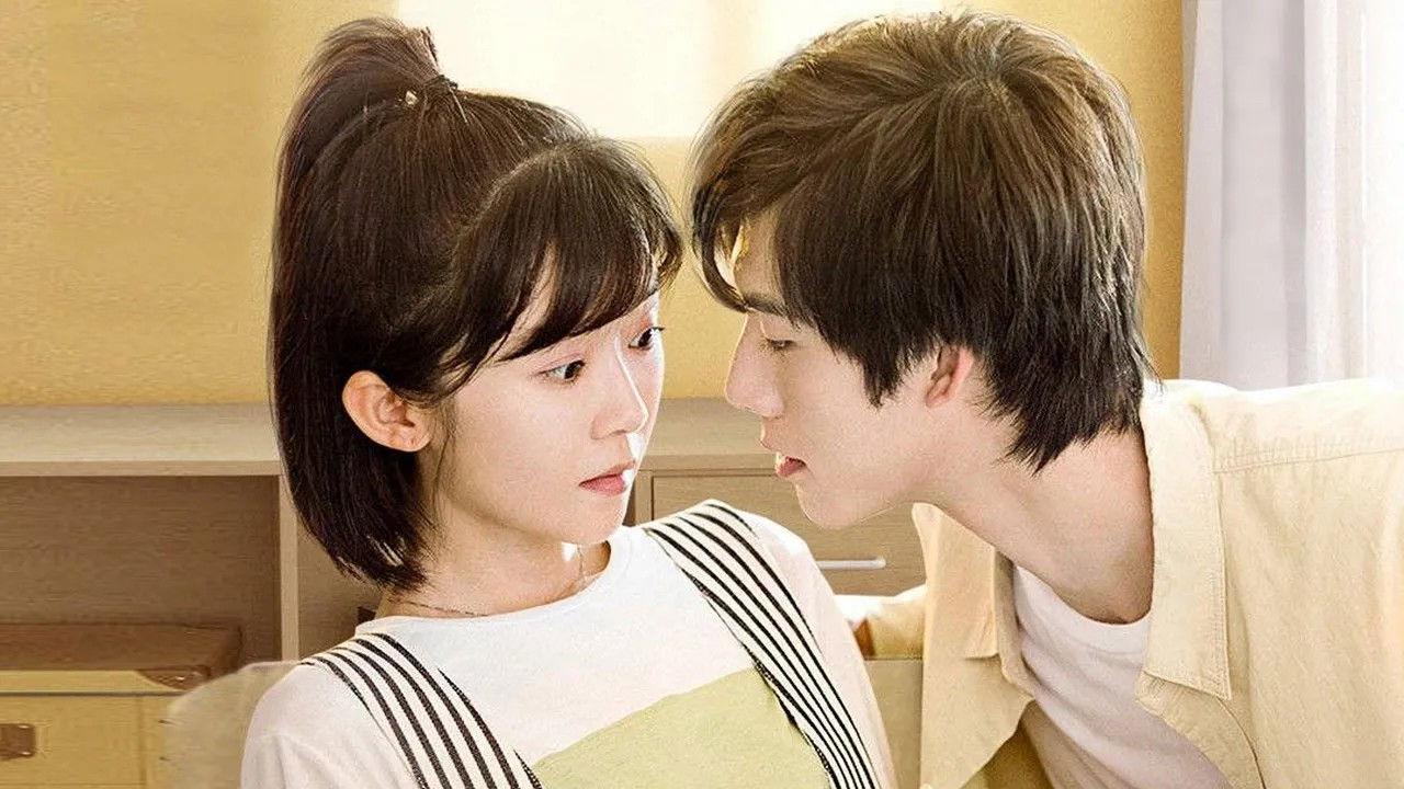 Professional Single backdrop