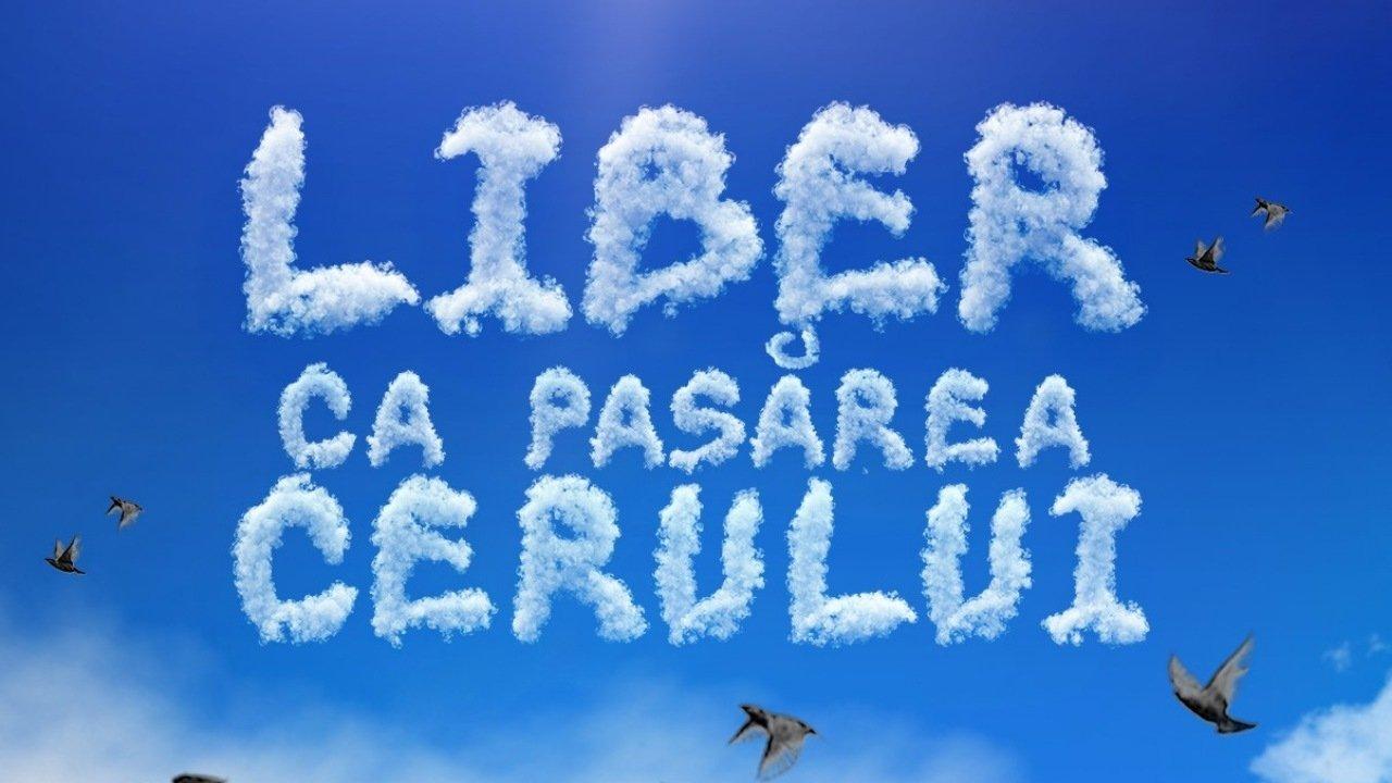 Liber ca pasărea cerului backdrop