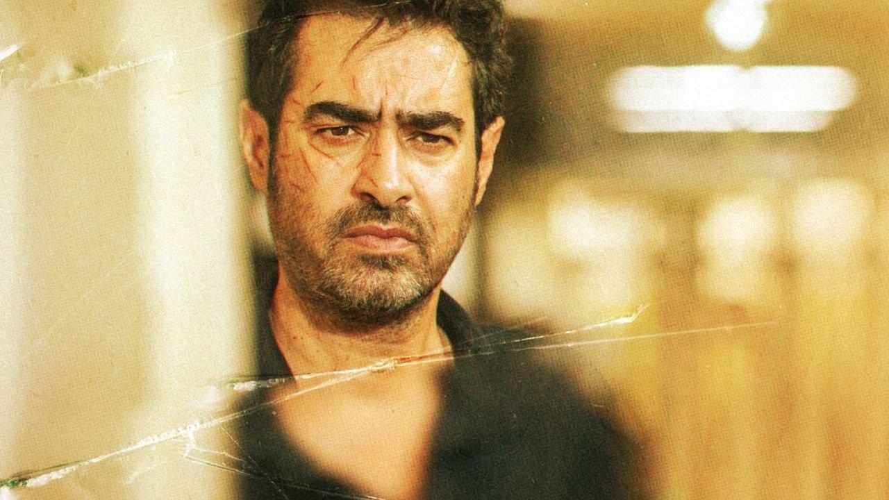 The Lion Skin backdrop