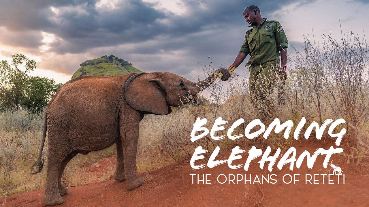Becoming Elephant: The Orphans Of Reteti backdrop