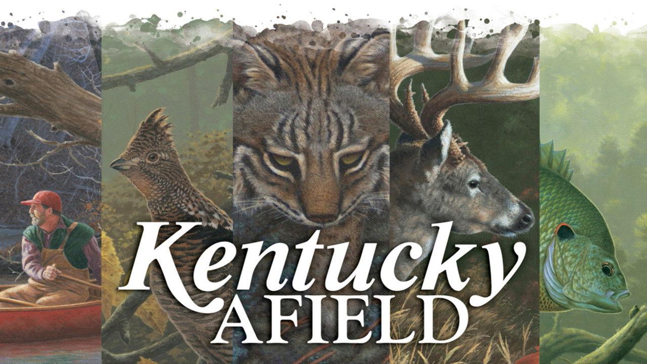 Kentucky Afield backdrop