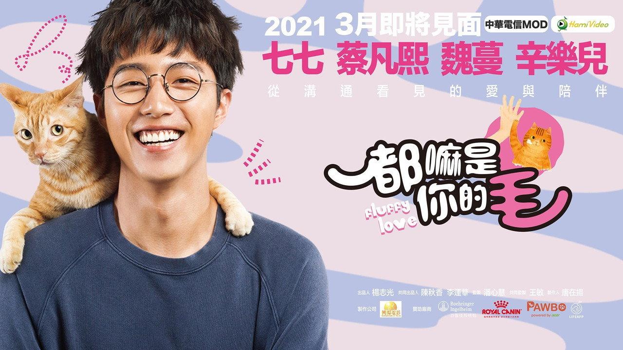 Fluffy Love backdrop