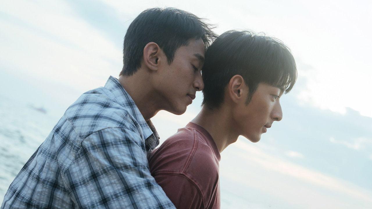 Wishing Upon the Shooting Stars backdrop