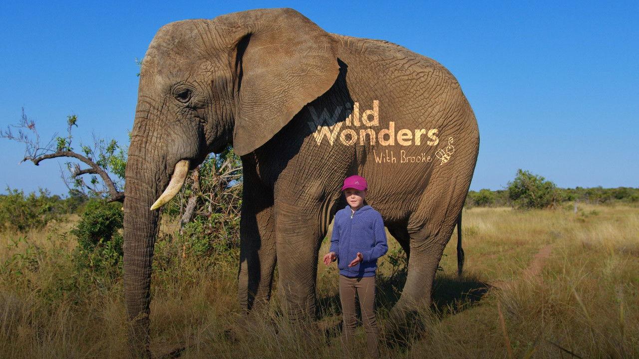 Wild Wonders with Brooke backdrop