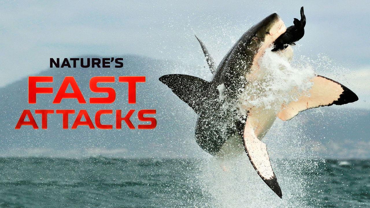Nature's Fast Attacks backdrop