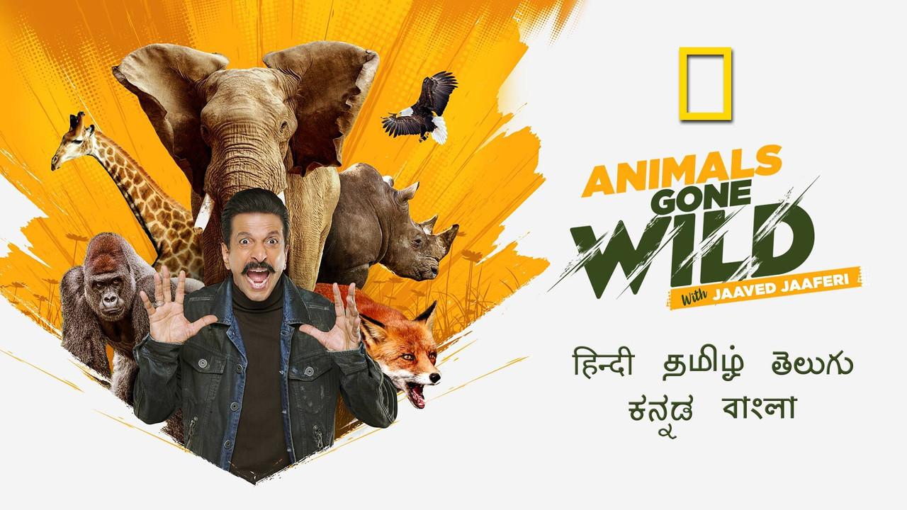 Animals Gone Wild With Jaaved Jaaferi backdrop