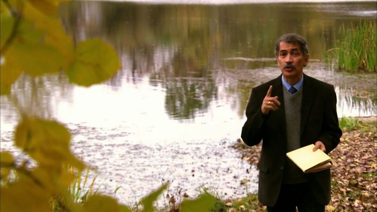 The History of Hungary backdrop