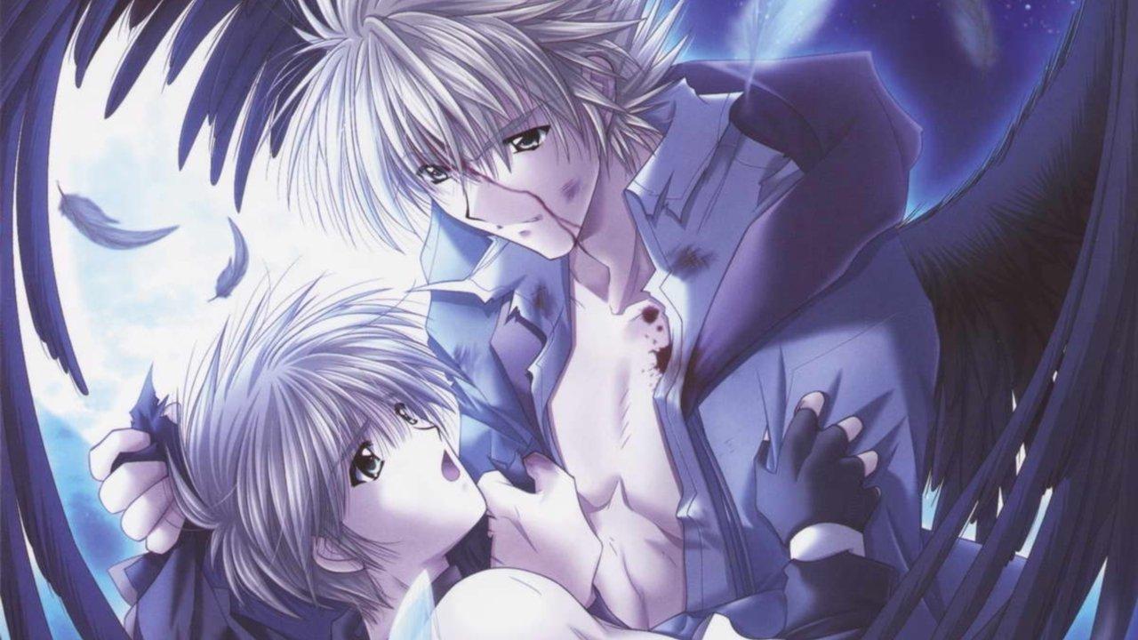 Angel's Feather backdrop