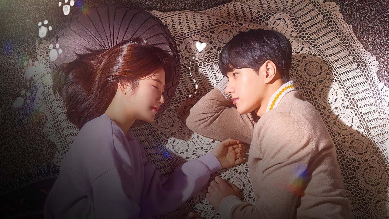 Meow, the Secret Boy backdrop