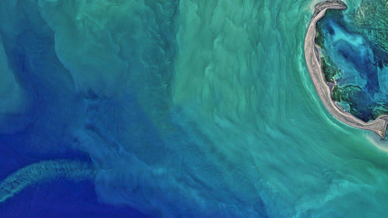 The Earthshot Prize: Repairing Our Planet backdrop