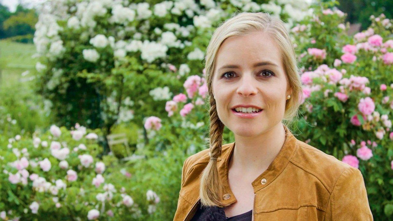 Hinter den Hecken backdrop