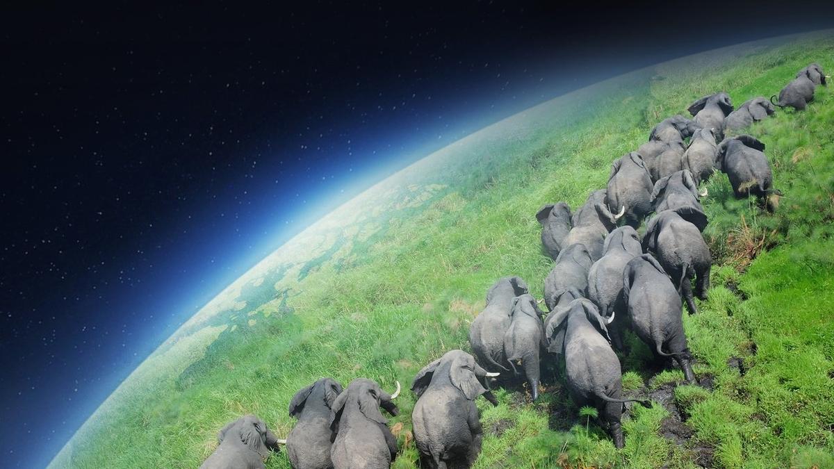 Planet Earth backdrop