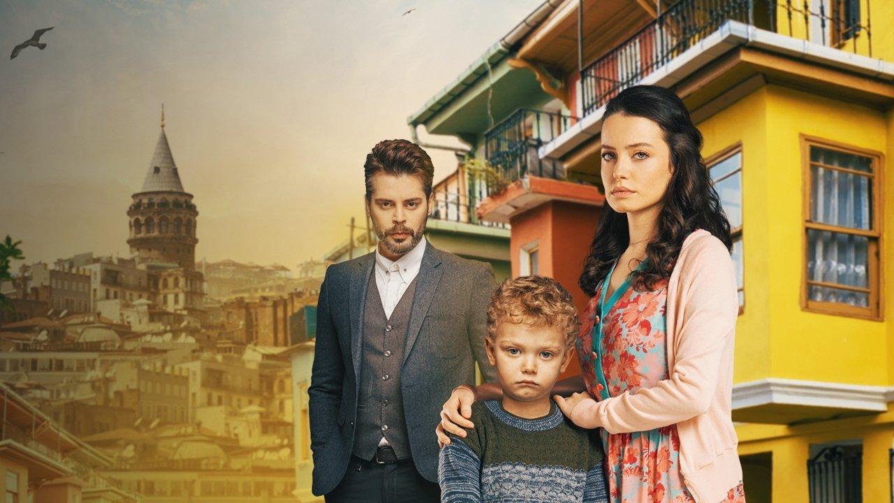 Wounded Birds backdrop