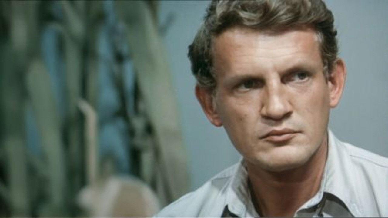 Znaki szczególne backdrop