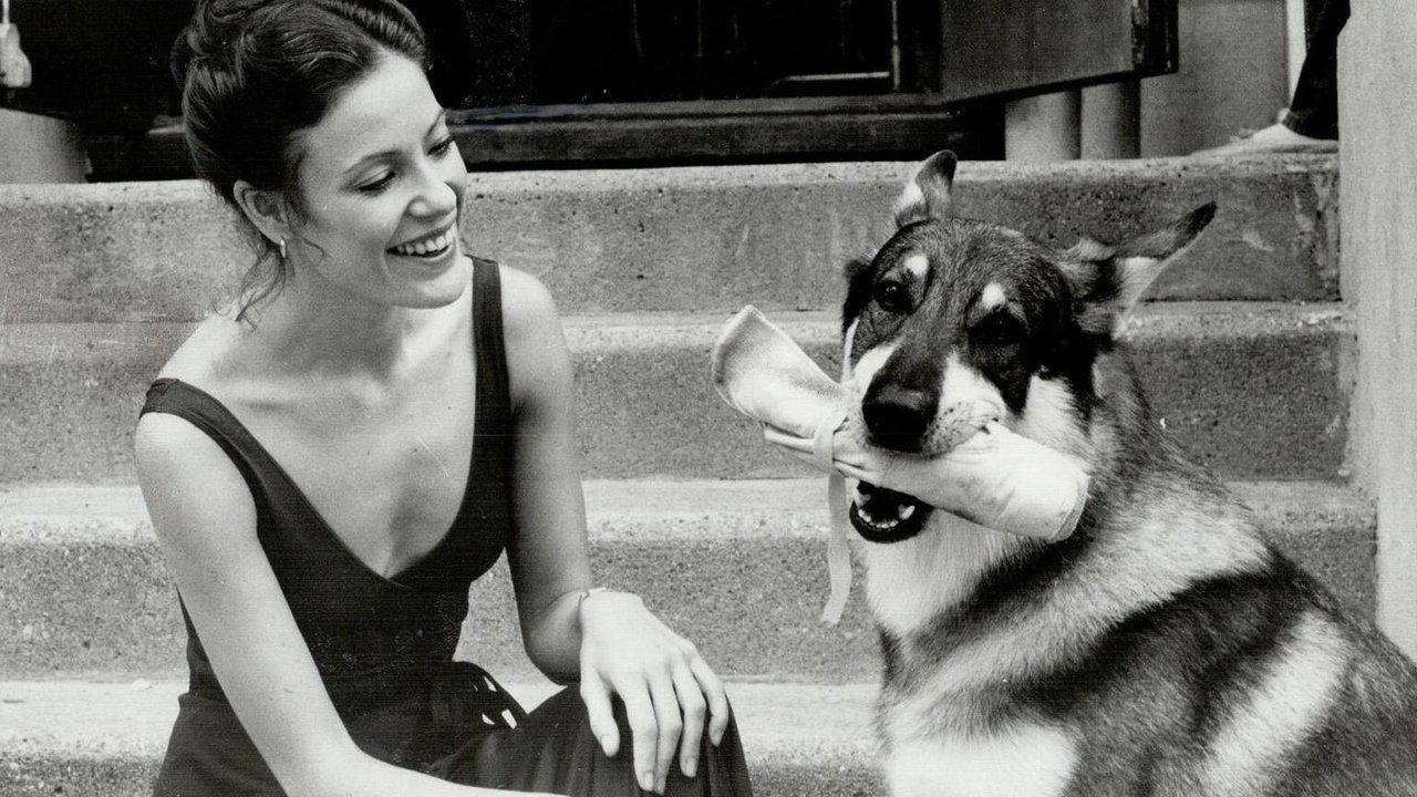 The Littlest Hobo backdrop