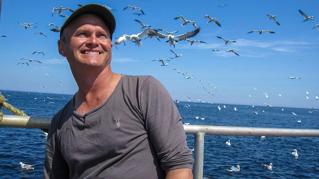 Simon King's Shetland Diaries backdrop