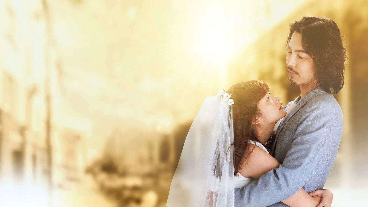 Letter from the Sun backdrop