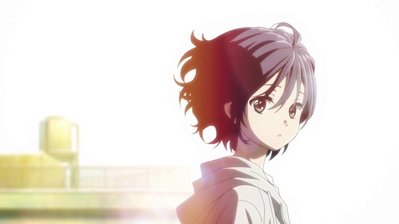 The Diary of Our Days backdrop