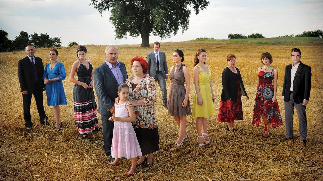 Falling Leaves backdrop